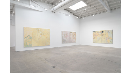 Cover image for the exhibition Vanessa Conte: RIDE