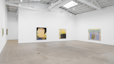 Cover image for the exhibition Sophia Flood: Sun and Its Living Shadow